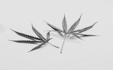 Лечение наркомании в Шарыпово